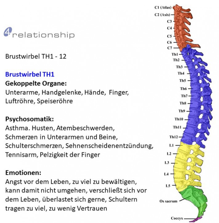 Brainwave<br>Entrainment<br>Brustwirbel TH1