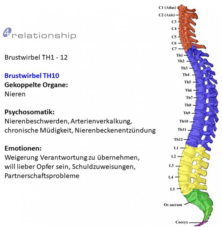 Brainwave<br>Entrainment<br>Brustwirbel TH10