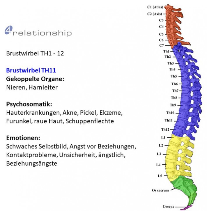 Brainwave<br>Entrainment<br>Brustwirbel TH11