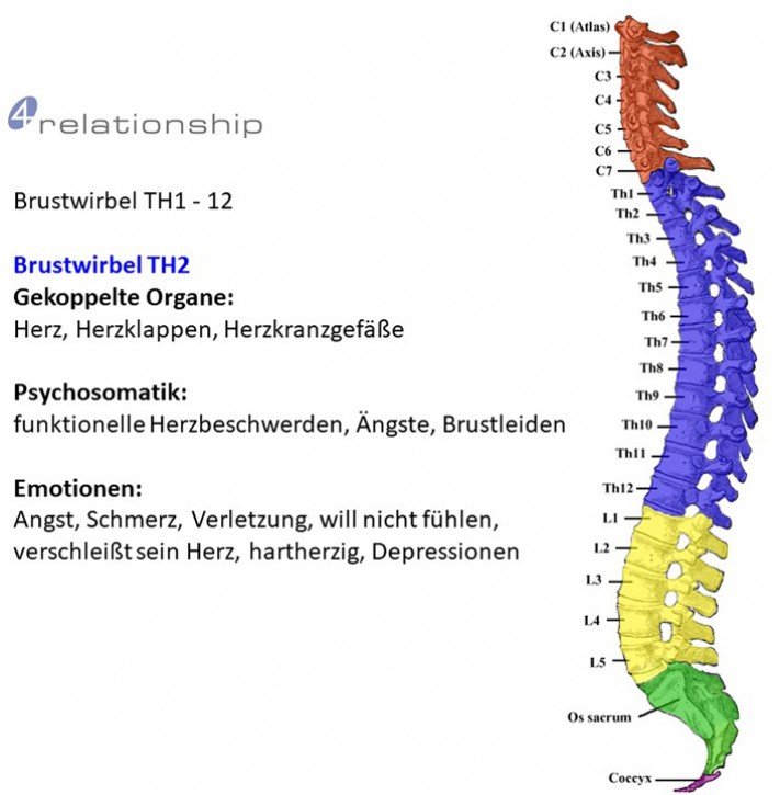 Brainwave<br>Entrainment<br>Brustwirbel TH2