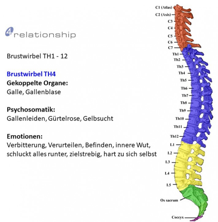 Brainwave<br>Entrainment<br>Brustwirbel TH4