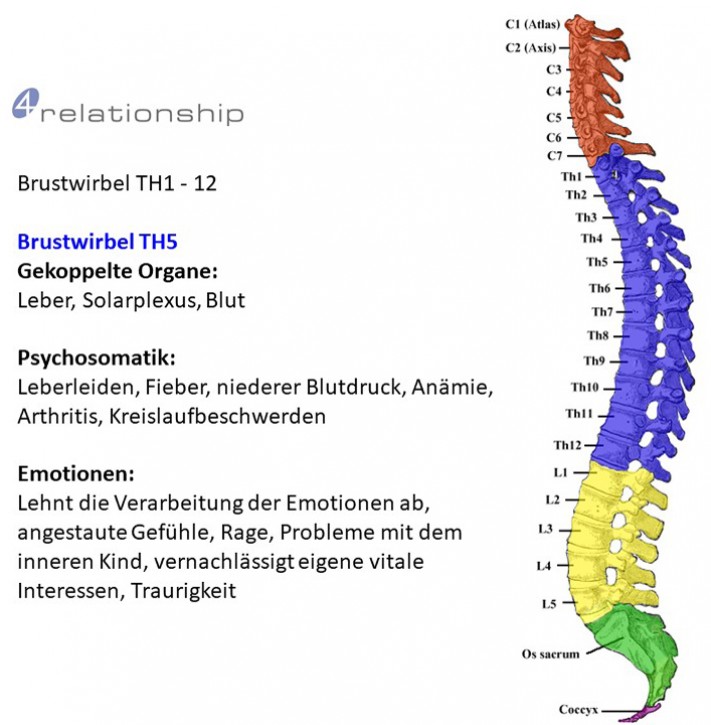 Brainwave<br>Entrainment<br>Brustwirbel TH5