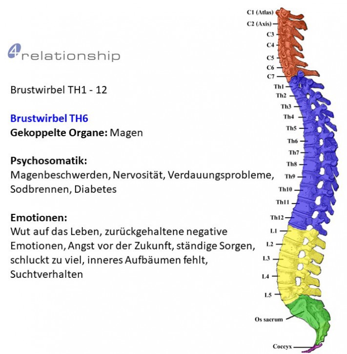Brainwave<br>Entrainment<br>Brustwirbel TH6