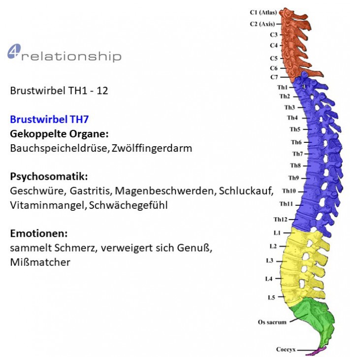 Brainwave<br>Entrainment<br>Brustwirbel TH7
