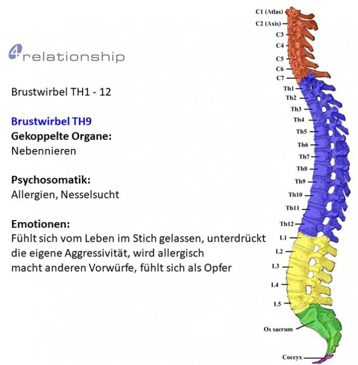 Brainwave<br>Entrainment<br>Brustwirbel TH9