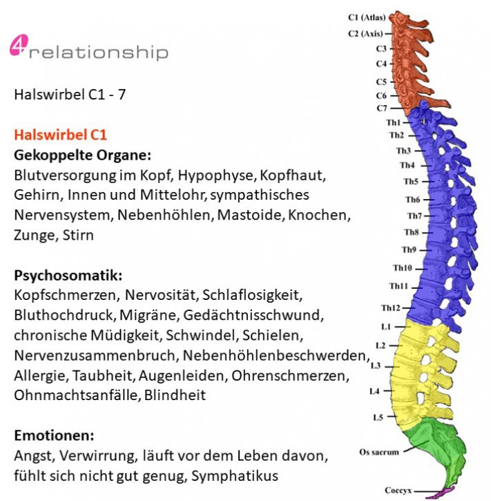 Brainwave<br>Entrainment<br>Halswirbel C1