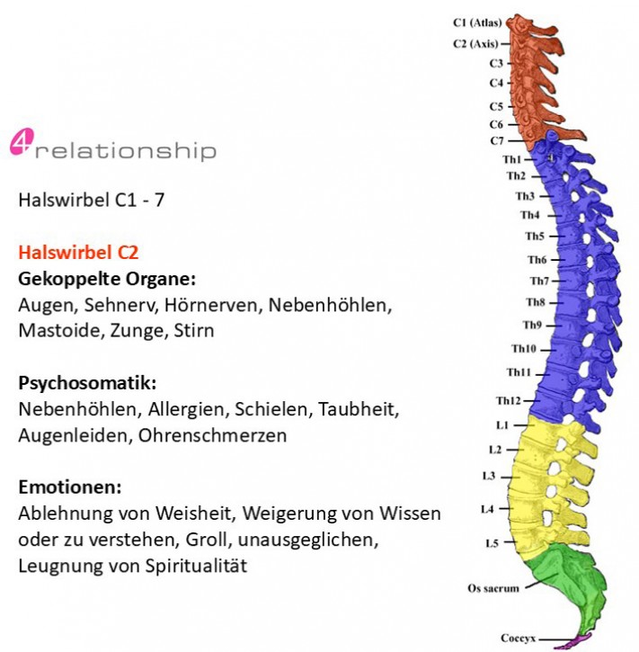 Brainwave<br>Entrainment<br>Halswirbel C2