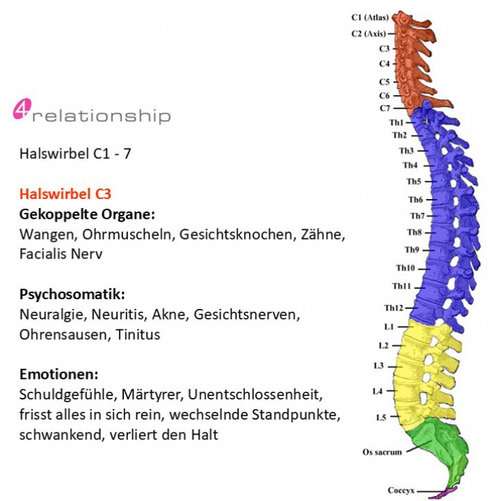 Brainwave<br>Entrainment<br>Halswirbel C3