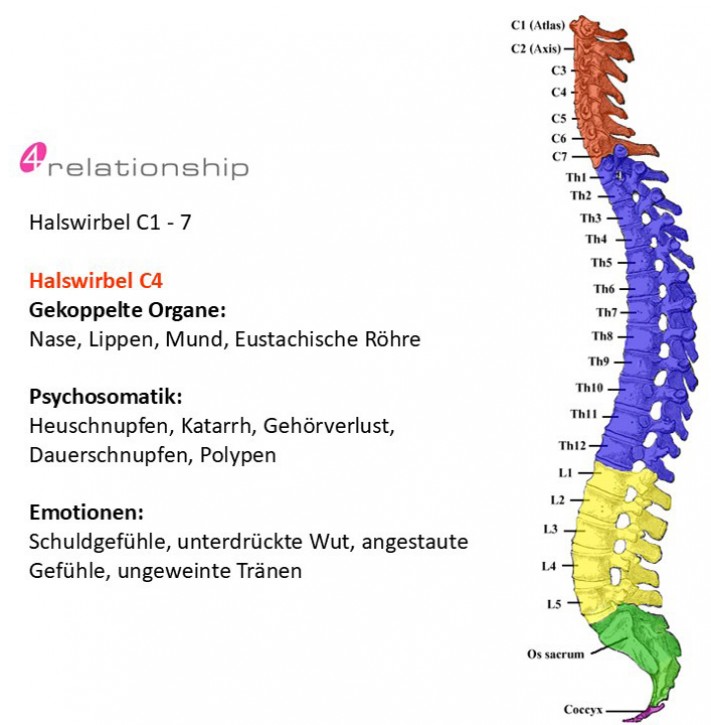 Brainwave<br>Entrainment<br>Halswirbel C4