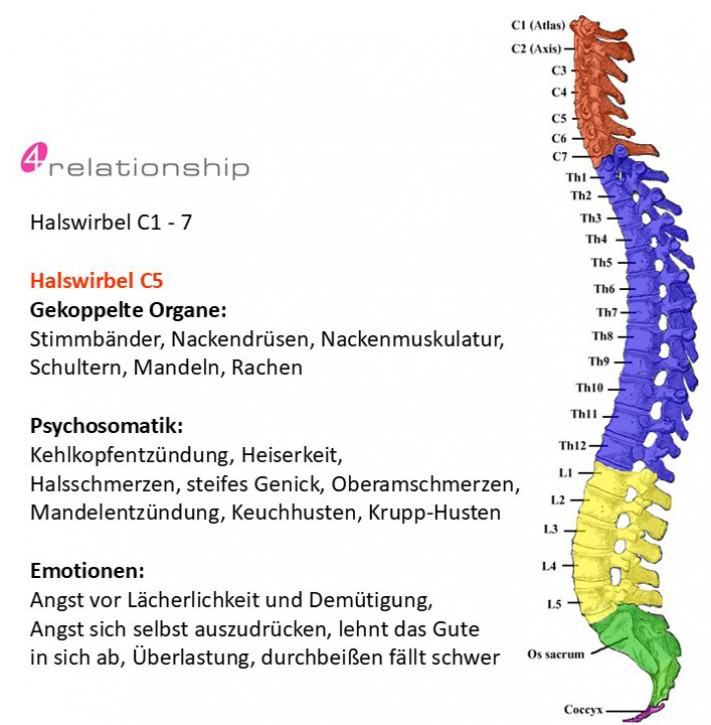 Brainwave<br>Entrainment<br>Halswirbel C5