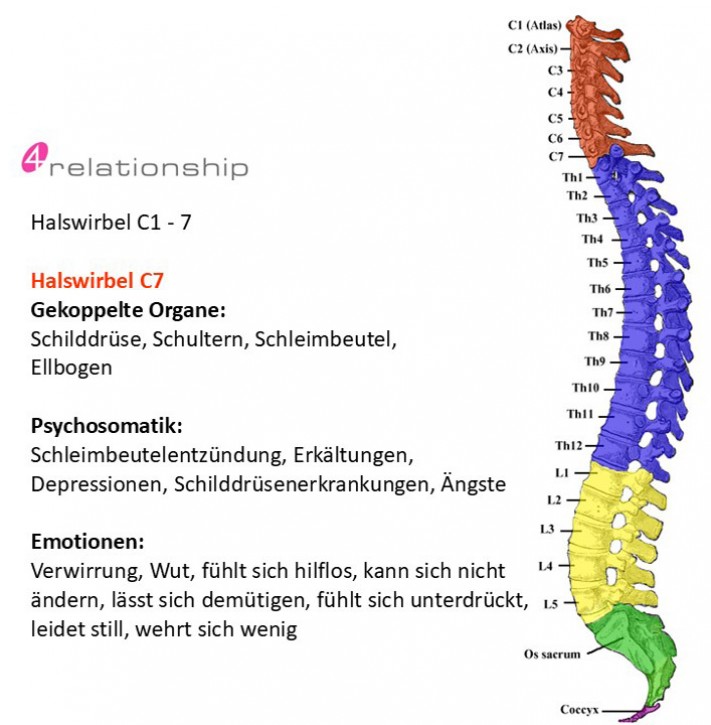 Brainwave<br>Entrainment<br>Halswirbel C7
