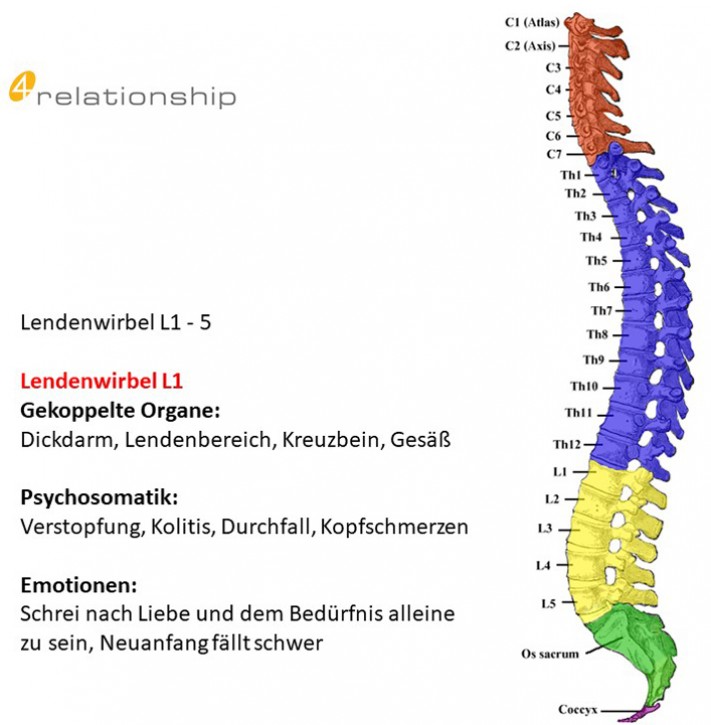 Brainwave<br>Entrainment<br>Lendenwirbel L1