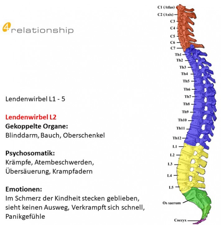 Brainwave<br>Entrainment<br>Lendenwirbel L2