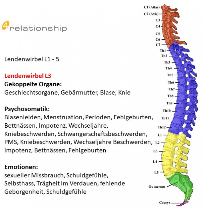 Brainwave<br>Entrainment<br>Lendenwirbel L3