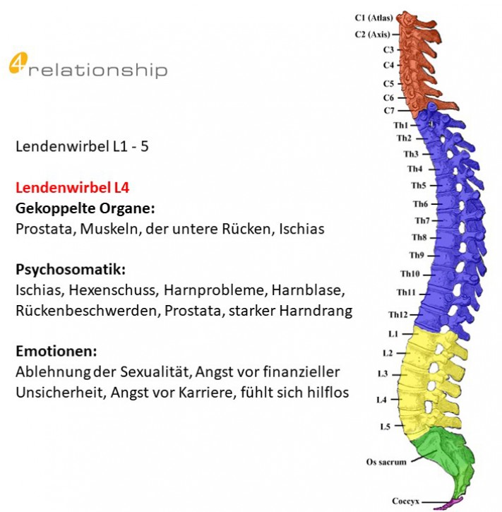 Brainwave<br>Entrainment<br>Lendenwirbel L4