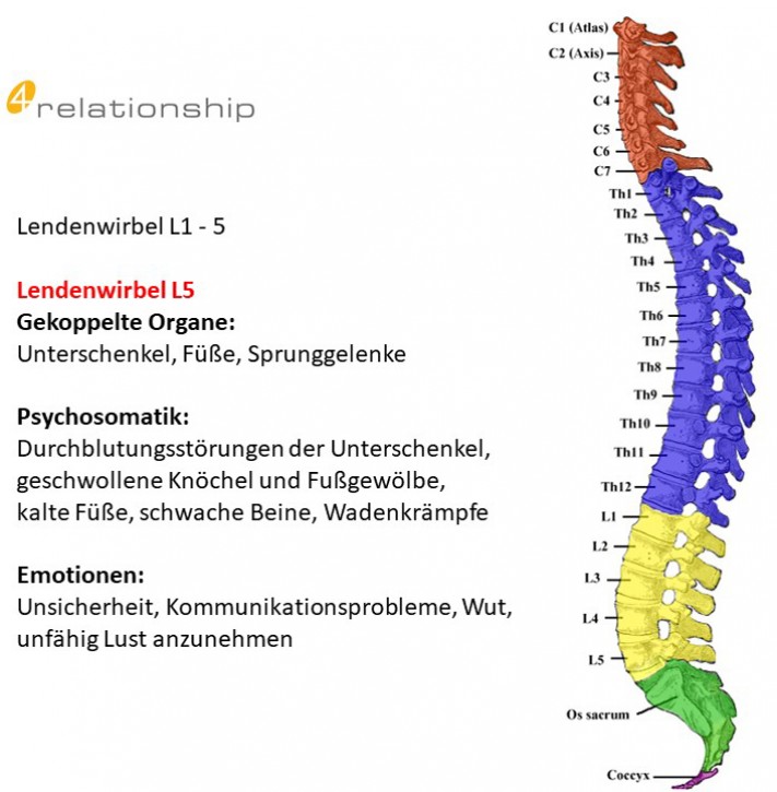 Brainwave<br>Entrainment<br>Lendenwirbel L5